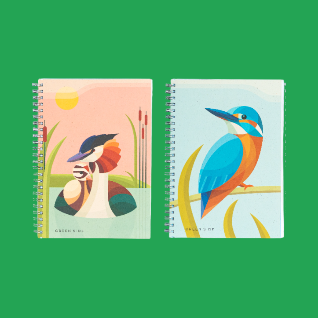 Artbook Double | Fuut & Ijsvogel
